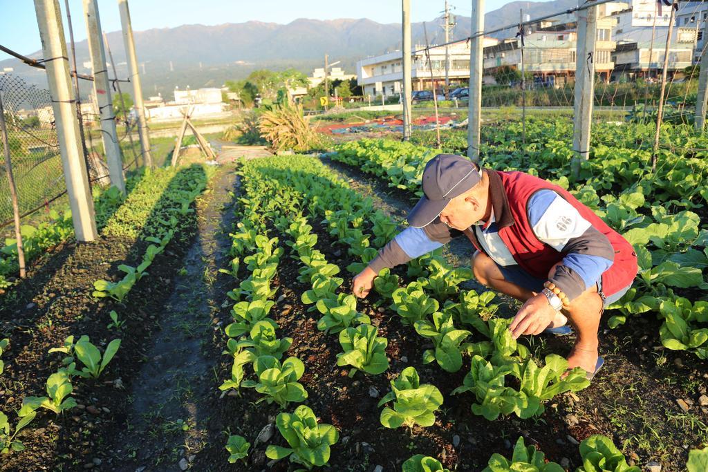 菜爺爺親子蔬宿vegepapa B&B 자오시 외부 사진